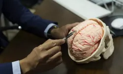 Kadınların beyni yaşlanmaya bile direniyor! Erkekler yine kaybetti