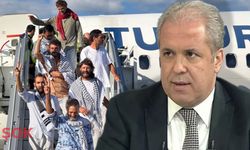 Şamil Tayyar Sumud eylemcilerine patladı: 'Tur atlamış takım taraftarı gibi...'