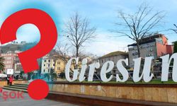 Giresun değil artık 'Yiğit Giresun' mu? İsim değişikliği için harekete geçildi!
