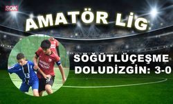 Söğütlüçeşme doludizgin: 3-0