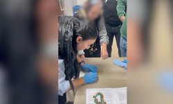 Esenyurt'ta dilencilik yapan kadının üzerinden 67 çeyrek altın çıktı