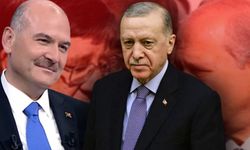 Eski MHP’li isimden olay sözler: 'Bahçeli’ye en ağır hakaretleri Erdoğan ve Soylu yaptı'