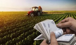 Çiftçi destek ödemeleri yattı mı, ne zaman yatacak? 2025 Çiftçi destek ödemeleri sorgulama ekranı!