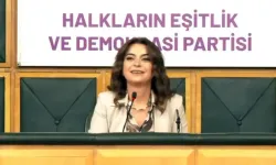 Bahçeli’nin sözlerinden sonra Meclis'te 'Biji Serok Apo' sloganları!