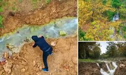 Kuruyan dere deprem sonrası akmaya başladı