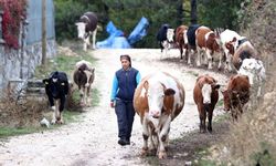 Gelin geldiği köyde devlet desteğiyle sürü sahibi oldu
