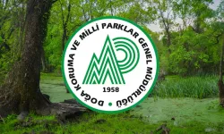 Doğa Koruma ve Milli Parklar Genel Müdürlüğü personel alımı 2025 başvurusu ne zaman, nasıl yapılır? Başvuru yöntemi!