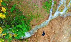 Depremle yeniden akmaya başlayan pınar, bahçeleri yeşertecek