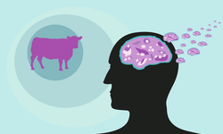 Deli Dana hastalığı yeniden Türkiye’de! Nasıl ortaya çıktı, nasıl bulaşıyor?