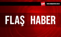 Flaş gelişme! Savcılıktan Ayşe Barım tahliye kararı için itiraz