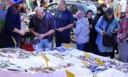 Hamside fiyat yarıya düştü, tezgahlarda yoğun ilgi