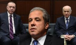 Şamil Tayyar'dan AK Parti- MHP gerginliği iddialarına ilginç yorum