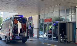 Bolu'da panik! Bir kadında deli dana hastalığı tespit edildi: Belirtileri neler?