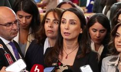 DEM Parti’den MHP lideri Devlet Bahçeli’ye destek geldi