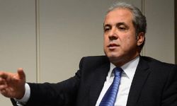 AK Parti'li Şamil Tayyar'dan son operasyonlarda 'iç hesaplaşma' yorumu