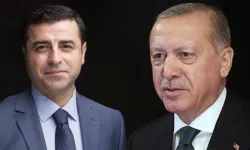 Ruşen Çakır ihtimalleri birer birer sıraladı: 'Erdoğan isterse Demirtaş çıkar'