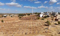 Dezavantajlı tarım arazileri modern bağcılık projesiyle hayat buluyor