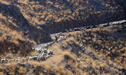 Bitlis'te göçerler havanın soğumasıyla dönüş yolculuğuna başladı