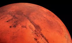 Mars’ın sırrı ortaya çıkıyor: 50 milyon yıllık yaşam izi bulundu