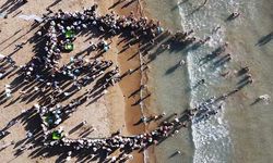 Muğla'da tedavileri tamamlanan deniz kaplumbağaları denizle buluştu
