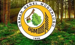 OGM işçi alımı kura sonuçları ne zaman açıklanacak? Orman Genel Müdürlüğü OGM 262 işçi alımı kura çekimi ve sonuçları