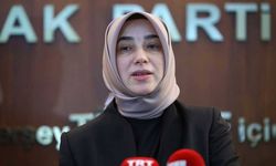 AK Partili Zengin’den şaşırtan öneri: 'Holokost filmleri Türkiye’de yasaklansın'