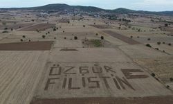 Çanakkaleli çiftçi Filistin'e destek için tarlasına traktörle "Özgür Filistin" yazdı