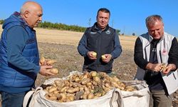 Beyşehir’de patates üreticisinin artan üretimle yüzü güldü