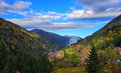 Rize'de Ayder Yaylası'nda sonbahar renkleri hakim oldu