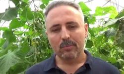 İlçesinde sera eksikliği gördü, 10 bin metrekarelik alana salatalık serası kurdu