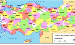 Nüfusu şaşırttı: İşte Türkiye'deki en kalabalık köy!