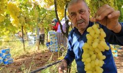 Üzüm fiyatlarındaki düşüş üreticileri tedirgin etti