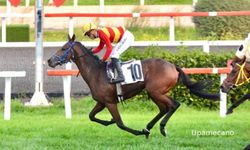 Tüyosu olan kazanır! 29 Ekim at yarışı tahminleri