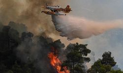Yapay zeka orman yangınlarına müdahaleye hız kazandırdı