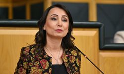 DEM Parti, Öcalan görüşmesinin ayrıntılarını ilk kez açıkladı!