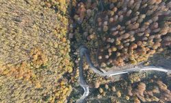 Sinop'ta sonbahar renkleri görsel şölen sunuyor