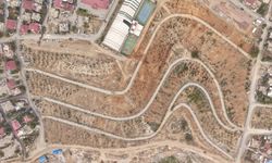 Kahramanmaraş'ta karbon emiliminin artırılması için 75 dönüm alan ağaçlandırılıyor