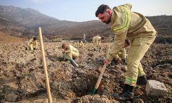 Bursa'da 3 milyon 250 bin fidan toprakla buluşacak