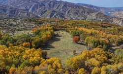 Diyarbakır'ın Kulp ilçesindeki sonbahar renkleri dronla görüntülendi