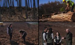 Yanan orman alanları hummalı çalışmayla yeni fidanlara hazırlanıyor