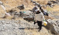 Kilometrelerce yürüyerek ulaştıkları dağlık alanda kaya balı hasadı yaptılar