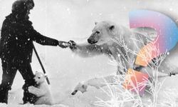 Bilim dünyası dondu kaldı: Doğada görülen en düşük sıcaklık -98 derece!