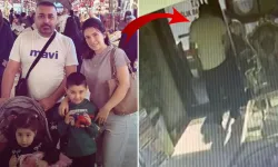 Böcek ailesinin son dakikaları böyle görüntülendi: Kilitli kapıdan çıkamıyorlar...