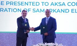 Türk şirketinden Semerkant'ın elektrik dağıtımına 1 milyar dolarlık yatırım