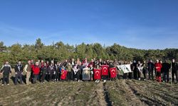 Amasya'da şehit 20 askerin adı dikilen fidanlarda yaşayacak