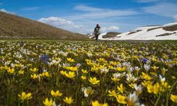 Türkiye'nin bitki bazlı gıdalardaki potansiyeli artıyor