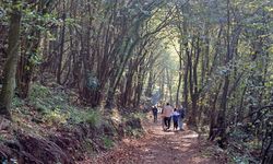 Canik Ekoturizm Alanı ve Doğa Yürüyüş Parkuru doğaseverleri ağırlıyor