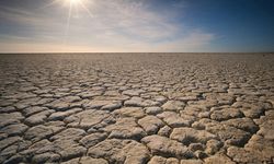 Küresel iklim değişikliği performans endeksinde ilk 3 sıra yine boş kaldı