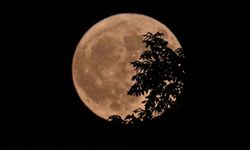 Boğa Dolunayı ne zaman, saat kaçta gerçekleşecek? 2025 Kasım ayı Boğa dolunayı tarihi