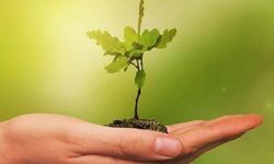 COP30'da küresel "yeşil sanayileşme" gündemi güçlendi